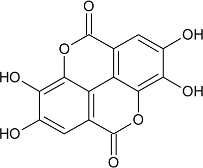 graphic file with name fphar-13-769111-fx53.jpg