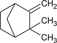 graphic file with name fphar-13-769111-fx25.jpg