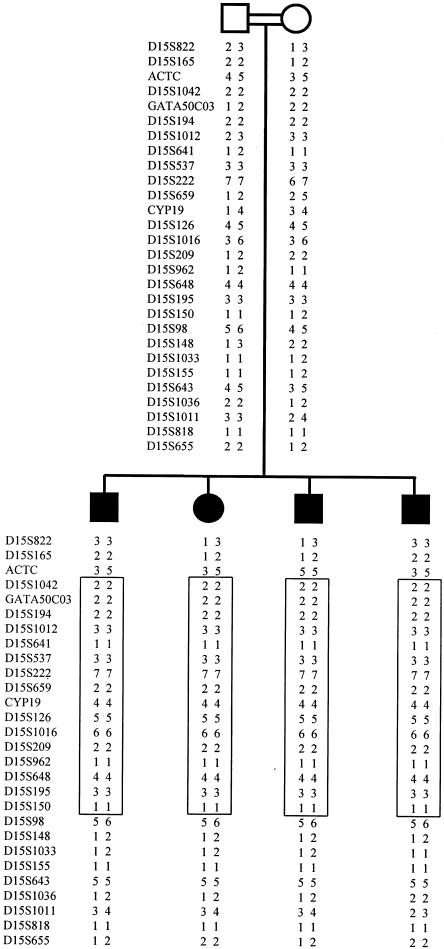 Figure  2