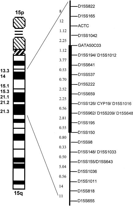 Figure  1