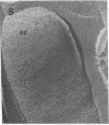 1903