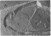 1904