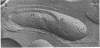 1902