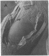 1903