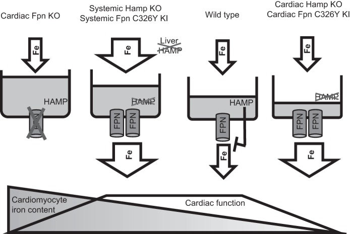 Fig. 3.