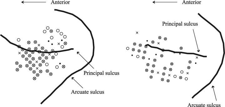 Figure 8.