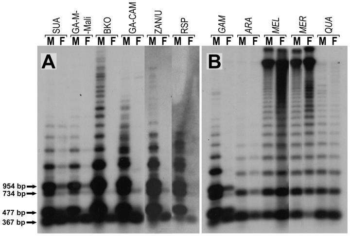 Figure 1.—