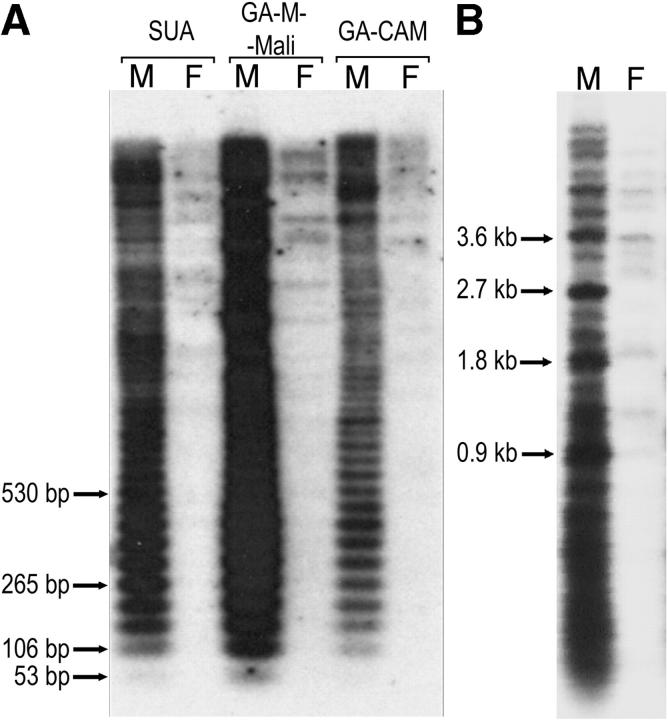 Figure 5.—