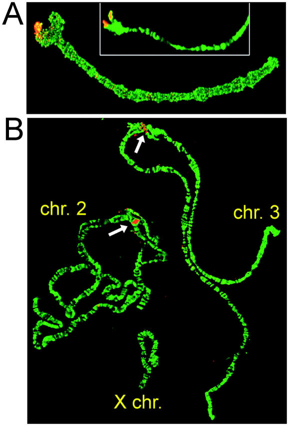 Figure 2.—