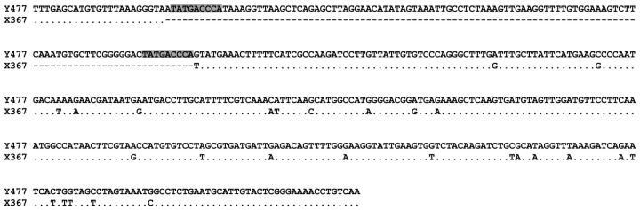 Figure 3.—