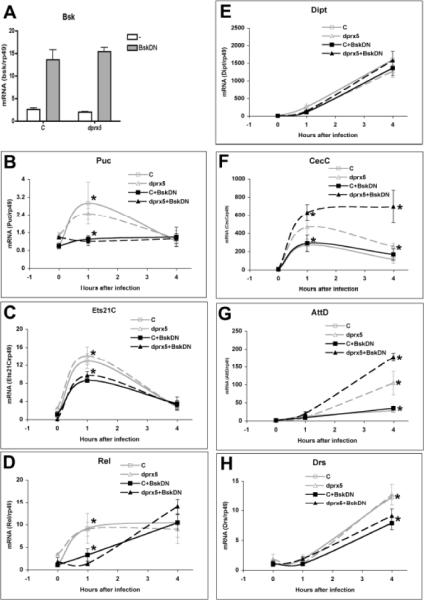 Fig.7