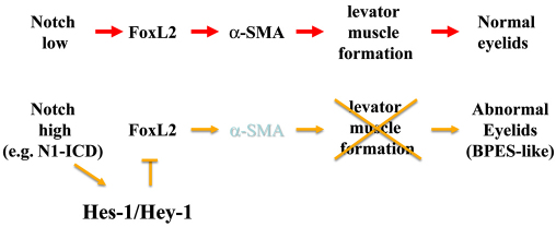 Fig. 13.