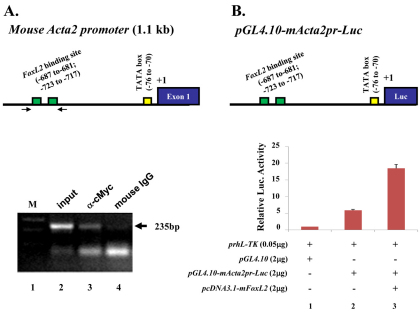 Fig. 12.