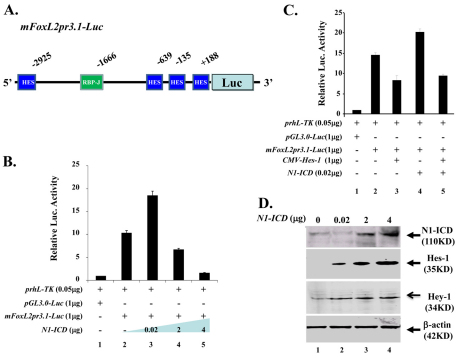 Fig. 9.