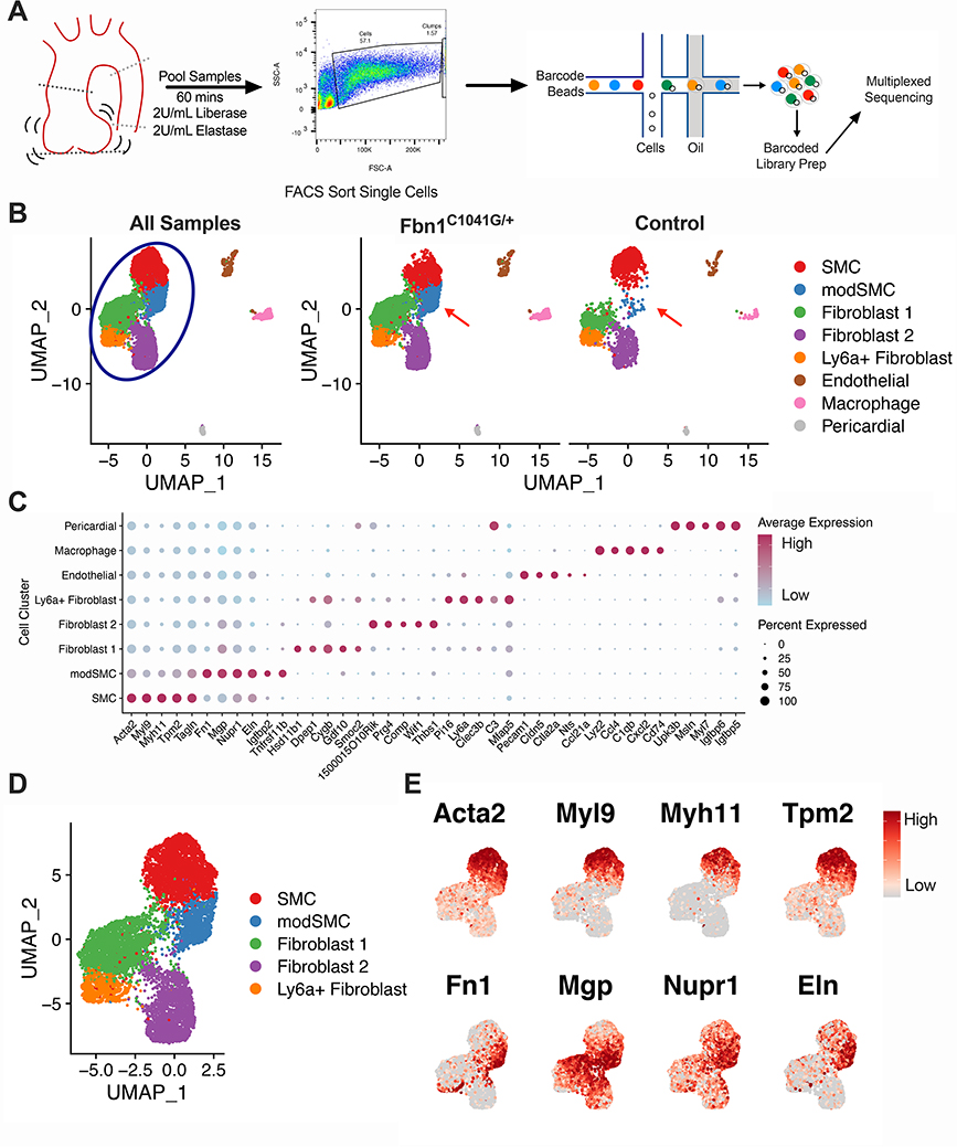 Figure 2: