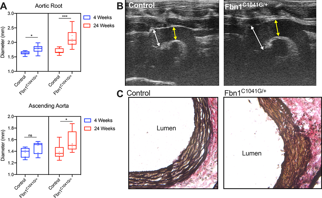 Figure 1: