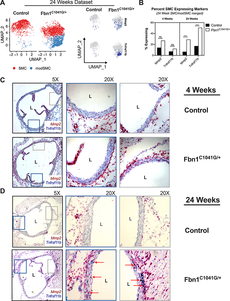 Figure 6: