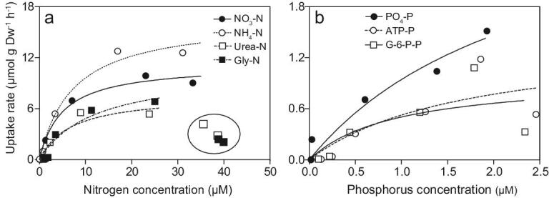 Figure 7.