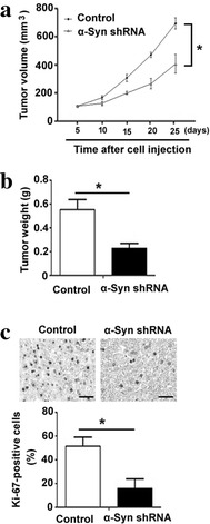 Fig. 6