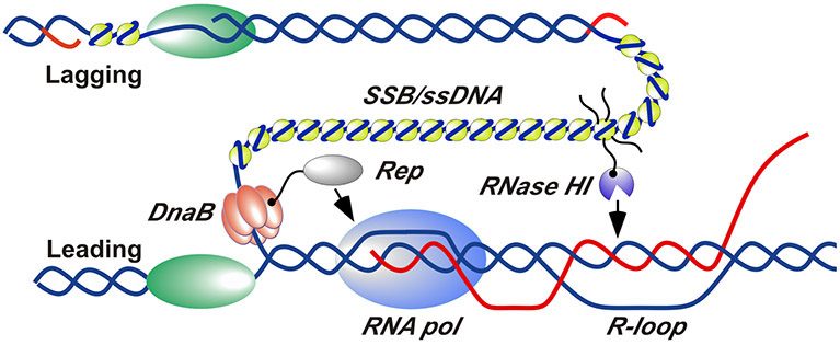 Figure 5.