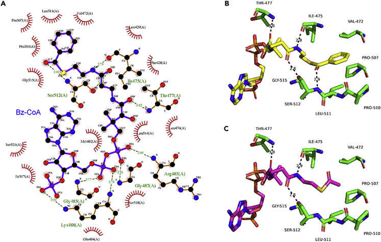 Figure 4