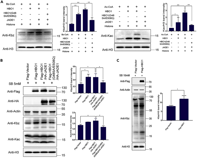 Figure 3