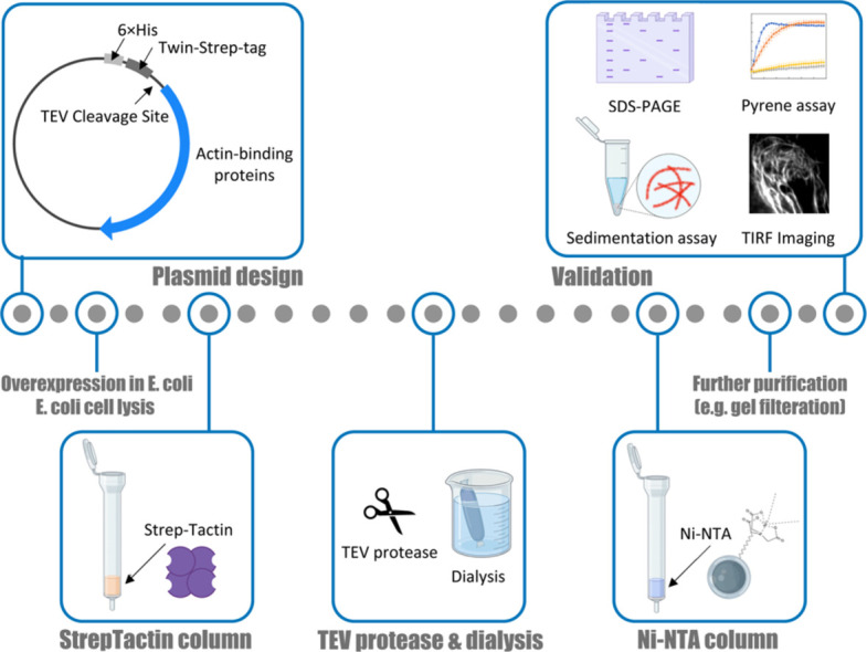 Image, graphical abstract