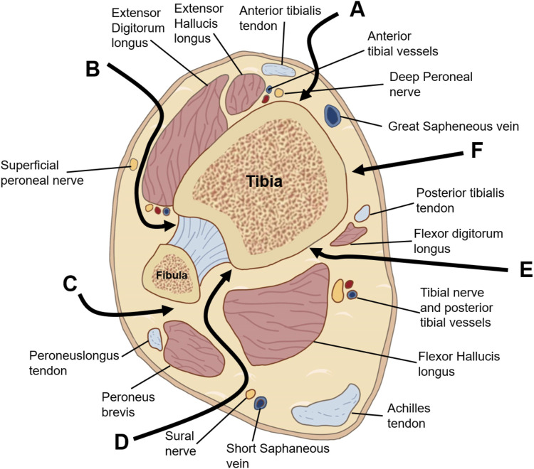 FIGURE 9