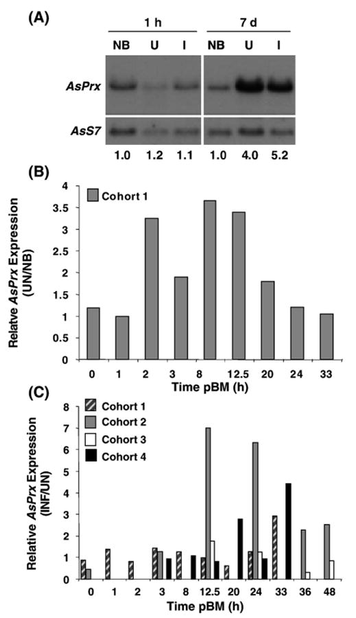 Fig. 8