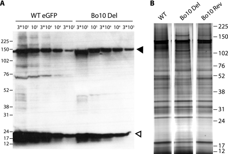 FIG. 9.