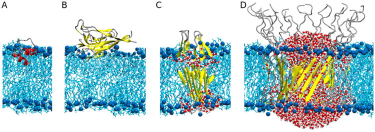 Figure 9