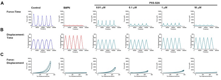 Figure 6—figure supplement 1.