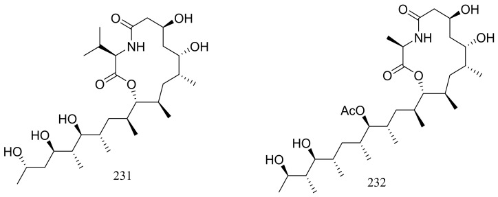 Figure 39