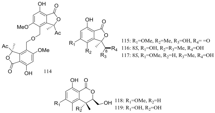 Figure 20