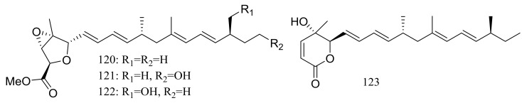 Figure 21