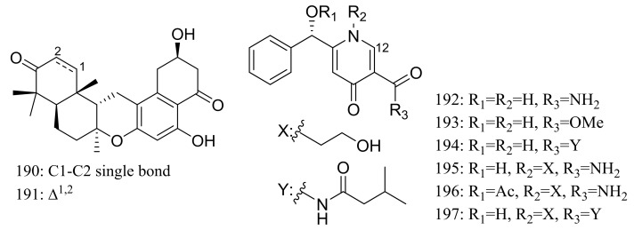 Figure 32