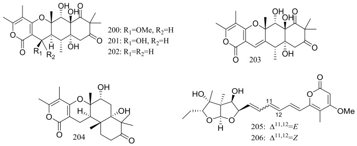 Figure 34