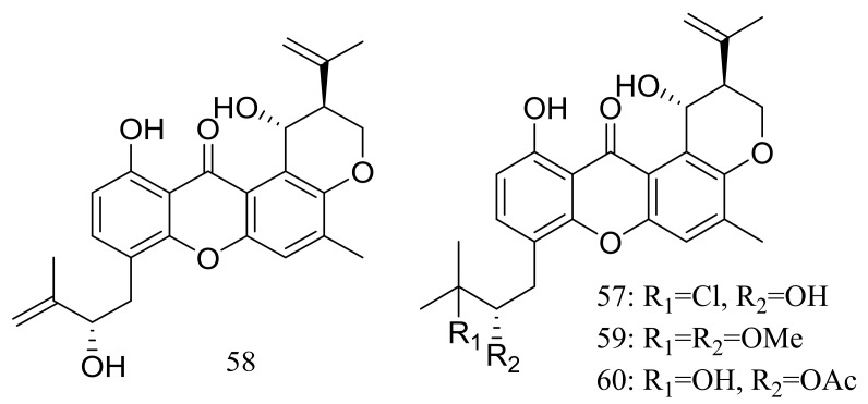 Figure 8