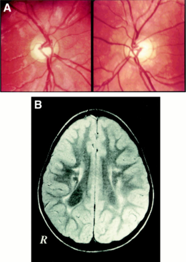 Figure 4  