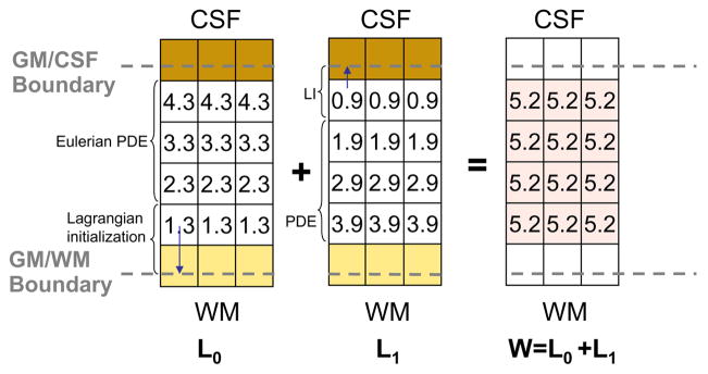 Fig. 7