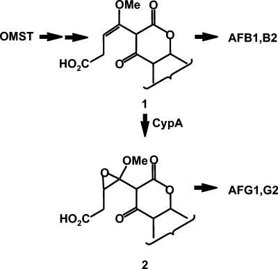 FIG. 6.