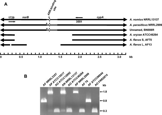 FIG. 2.