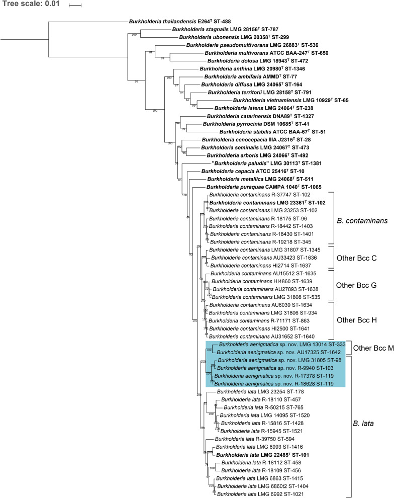 FIGURE 2