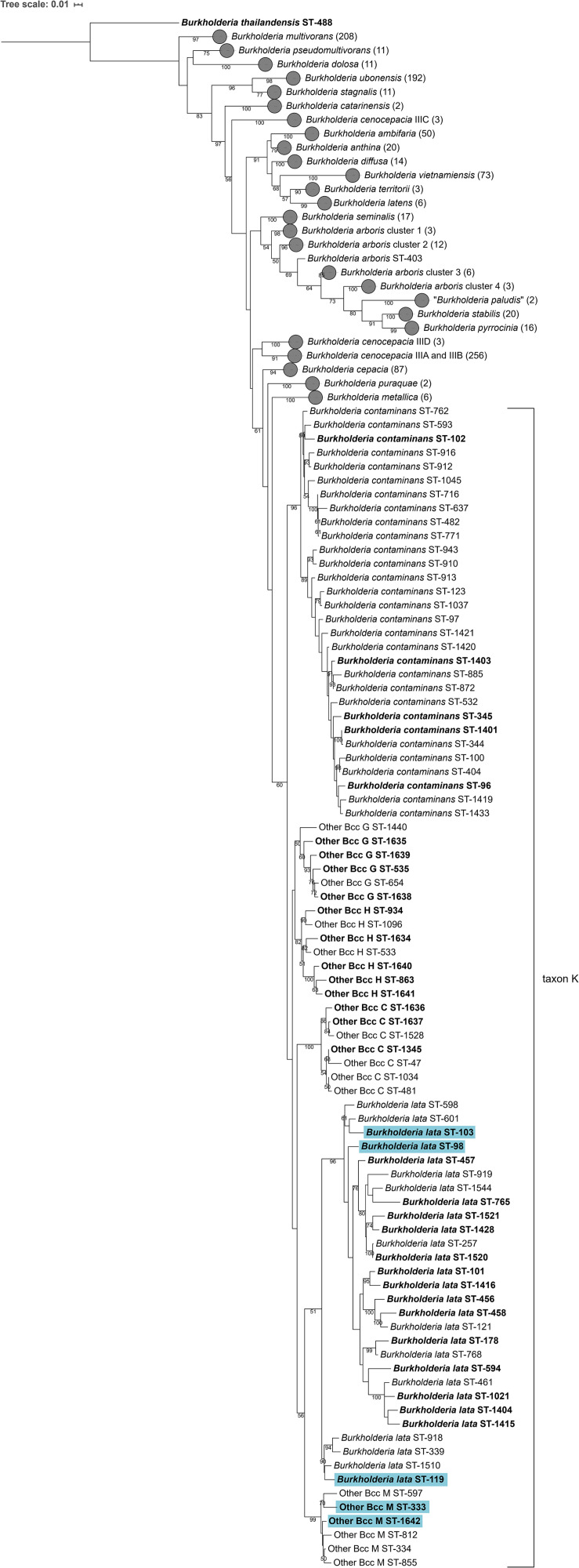 FIGURE 1