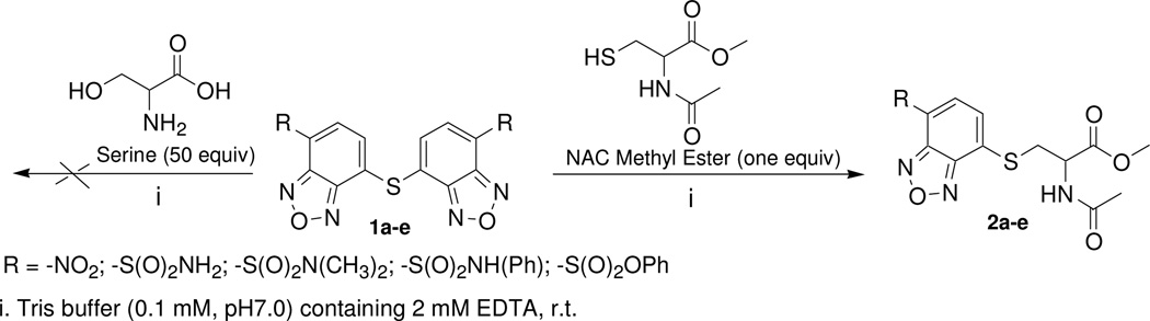 Scheme 2