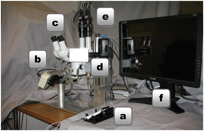 Fig. 2