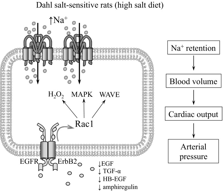 Fig. 5.