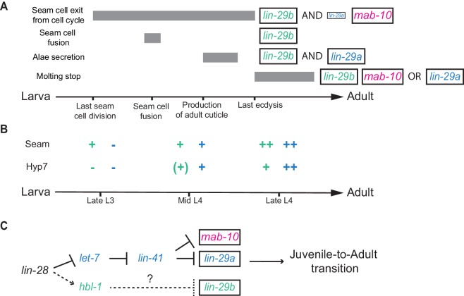 Figure 11.