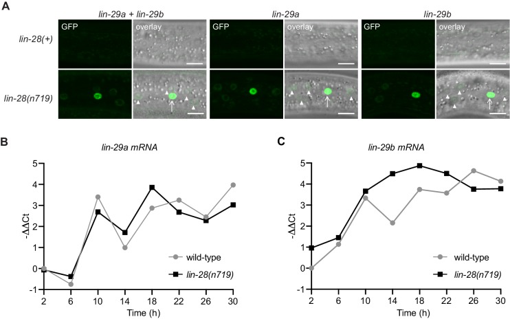 Figure 10.