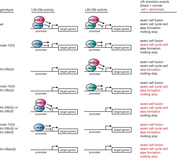 Figure 6—figure supplement 1.